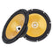 6.5" 2-Way Car Speakers